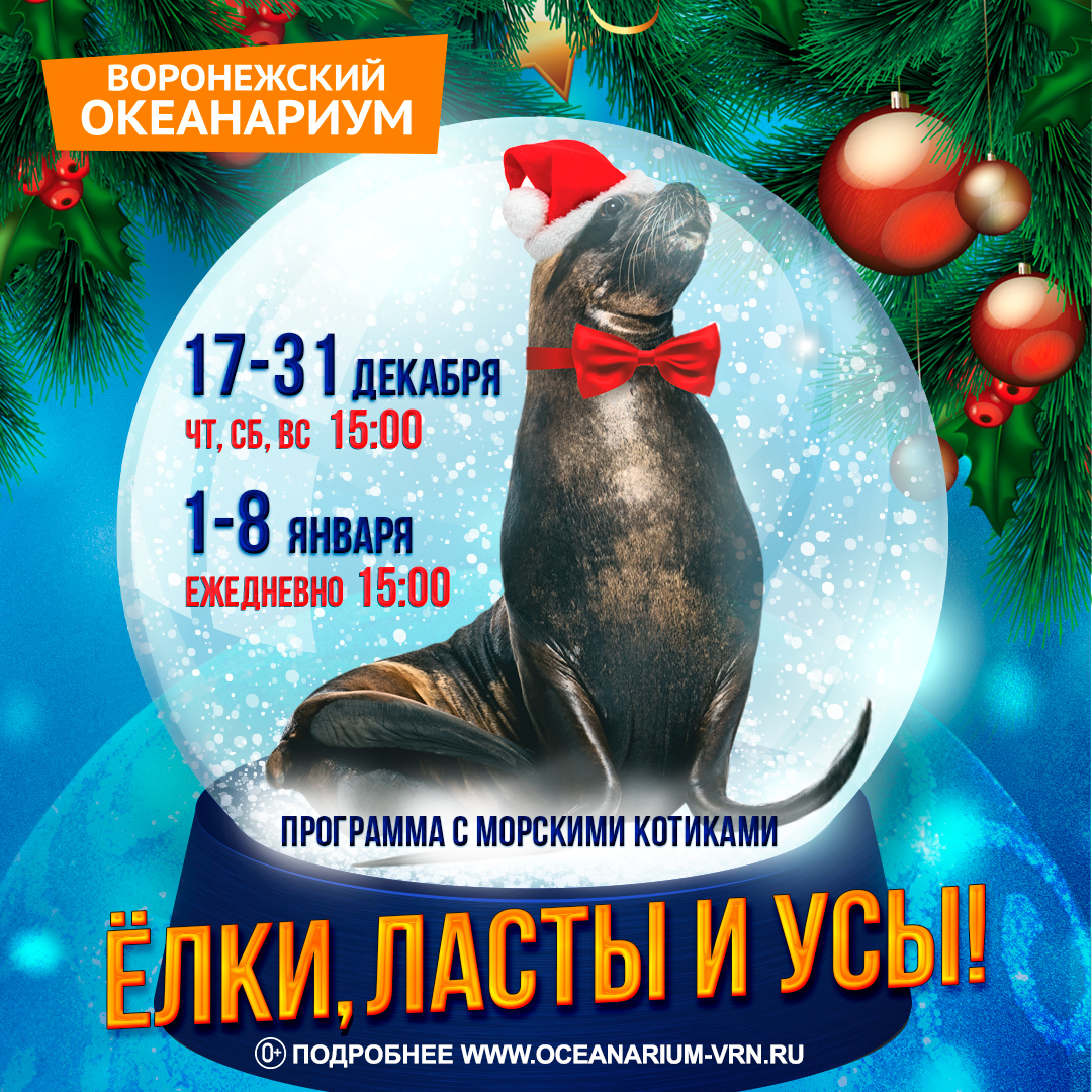 Новогодний Воронеж + Океанариум + шоу морских котиков